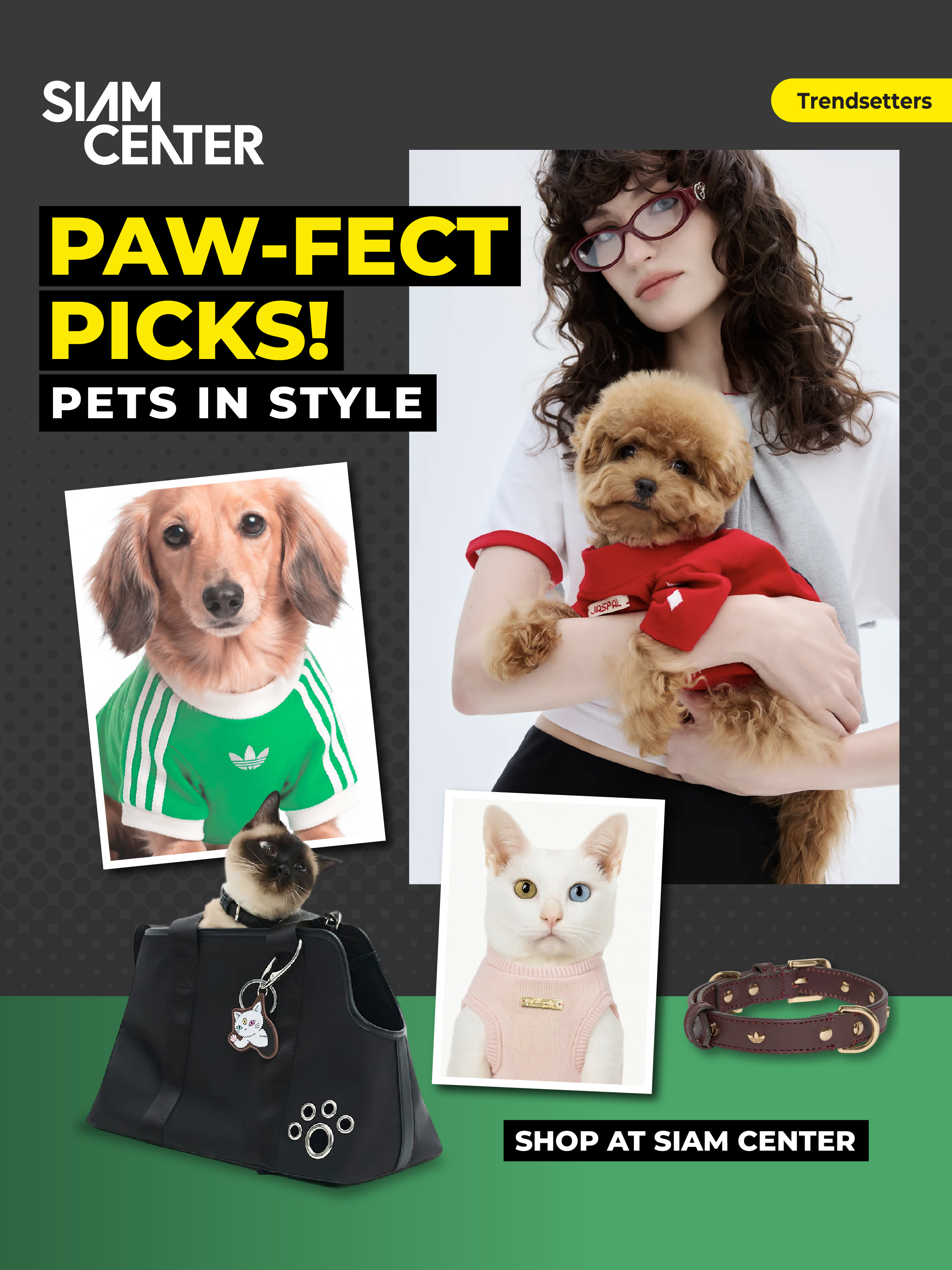PAW-FEC PICKS
